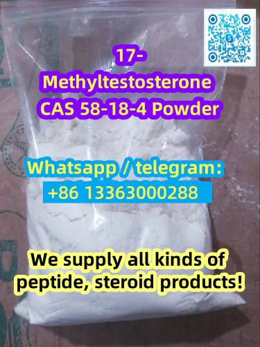 Foto High  cas58-18-4