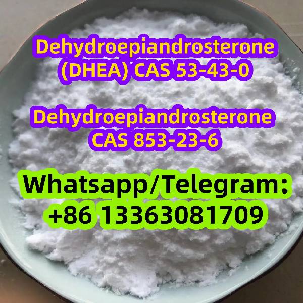 Skelbimas Dehydroepiandrosterone (DHEA) CAS 53-43-0 CAS 853-23-6