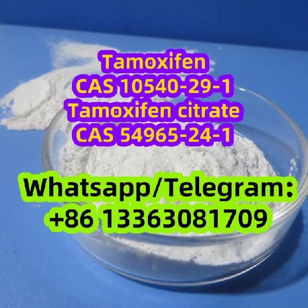 Paveiksliukas TAMOXIFEN  CAS 10540-29-1 CAS 2363-59-9 CAS 54965-24-1