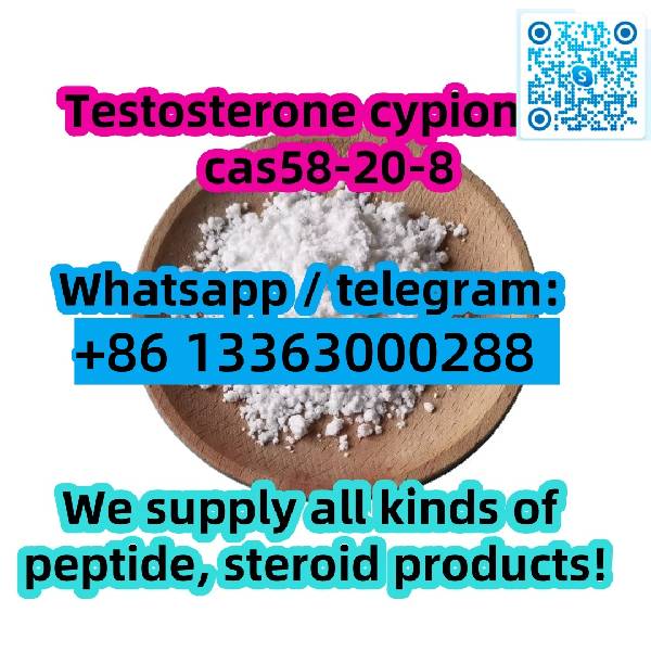 Nuotrauka Testosterone cypionate cas 58-20-8