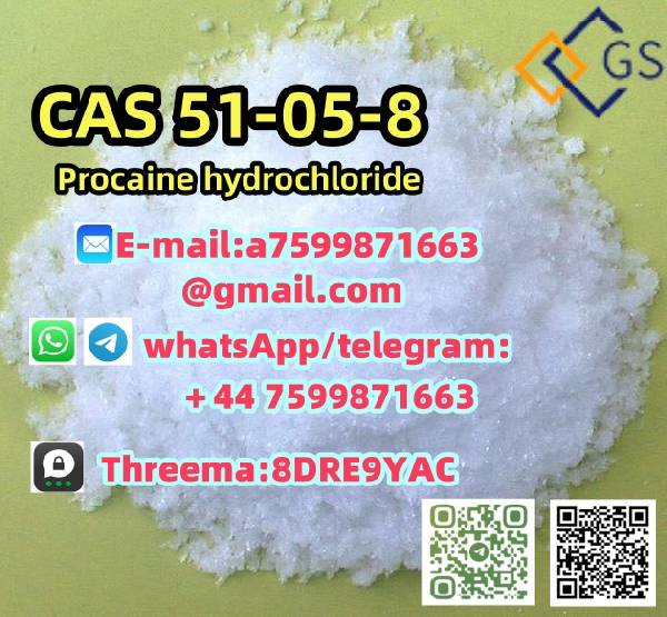 Paveiksliukas 99% Pure Procaine Hydrochloride (CAS 51-05-8) for Medical and Research Applications