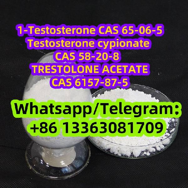 Nuotrauka CAS 65-06-5 1-Testosterone