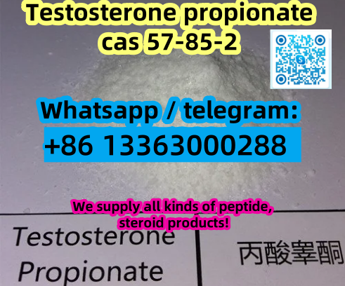 Foto Testosterone propionate cas 57-85-2