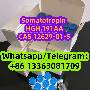 HGH 191AA (Somatotropin) CAS 12629-01-5 skelbimai