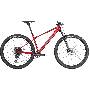 2024 BMC Twostroke 01 ONE Mountain Bike (KINGCYCLESPORT) skelbimai